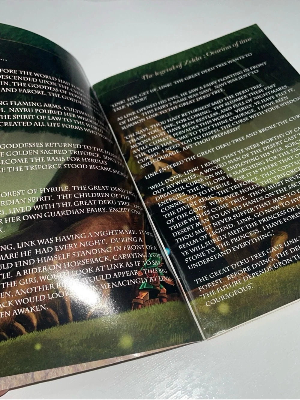Nintendo official instruction